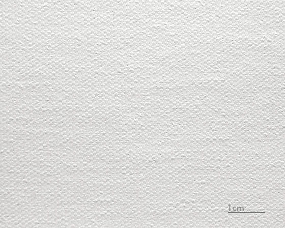 Canvas Raphael (matta)