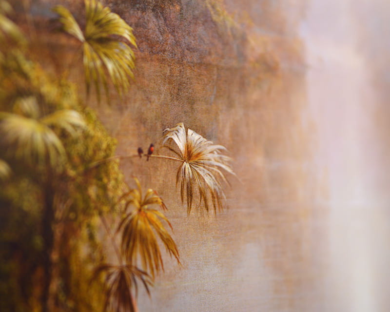 FineArt Photo Satiini (Photo Pearl 300)  23