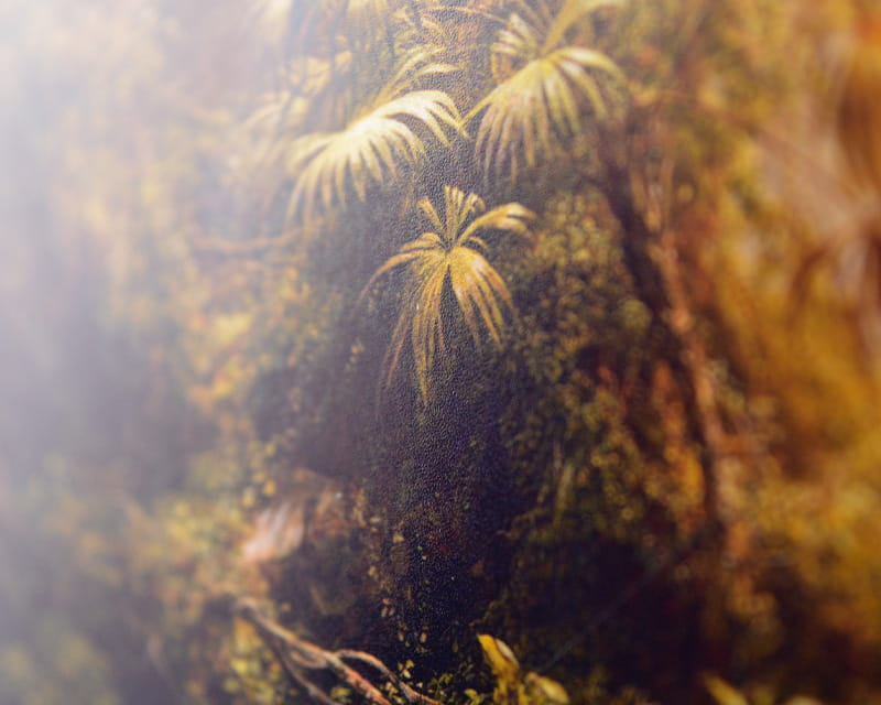 FineArt Photo Satiini (Photo Pearl 300)  25