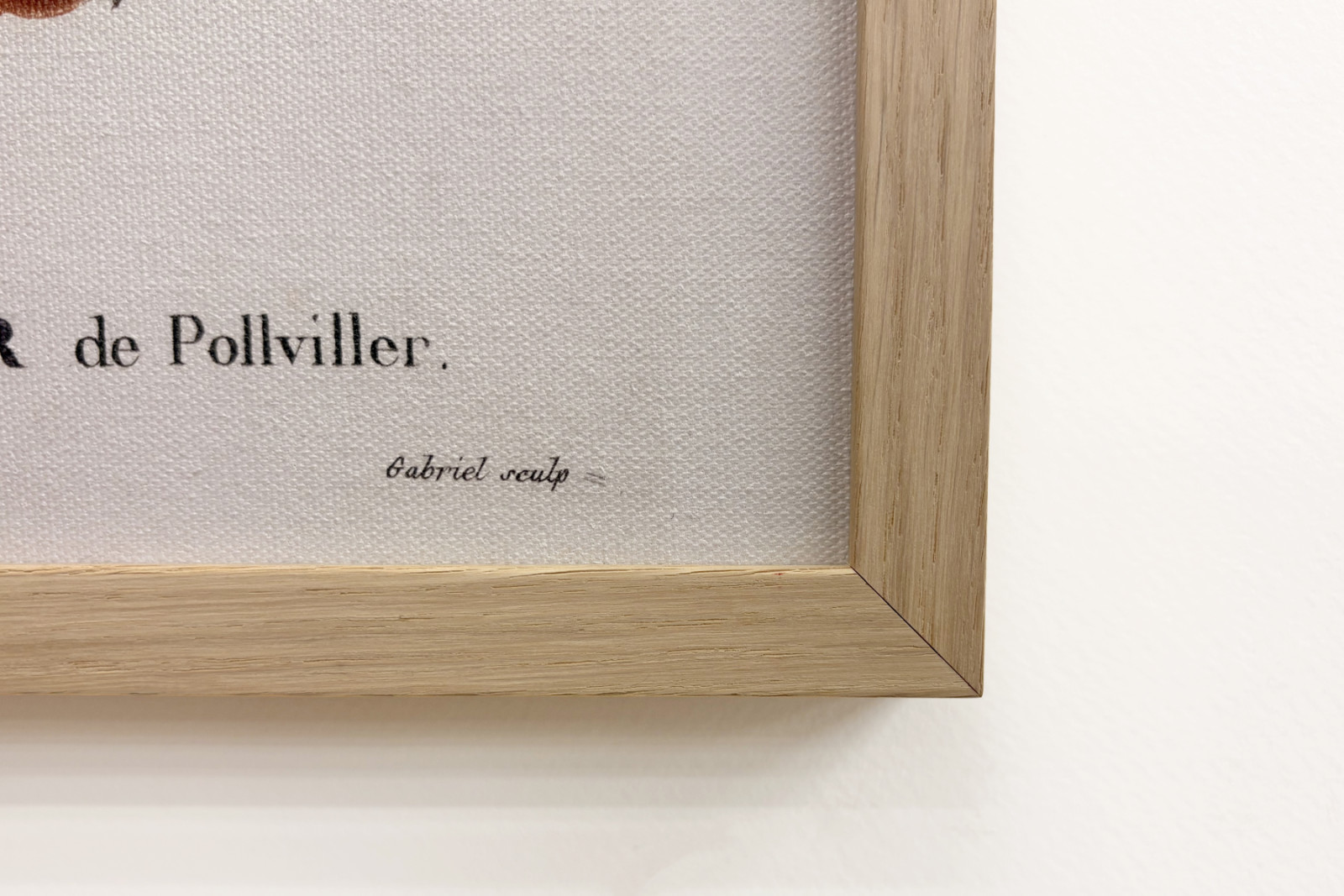 Poirier de Pollviller - teoksessa "" New Duhamel du Monceau tai tutkielma puista ja pensaista, joita viljellään Ranskassa"", hahmot P.J. Redouten ja P. Bessan piirustusten mukaan, Pariisi - Pierre Joseph (after) Redoute