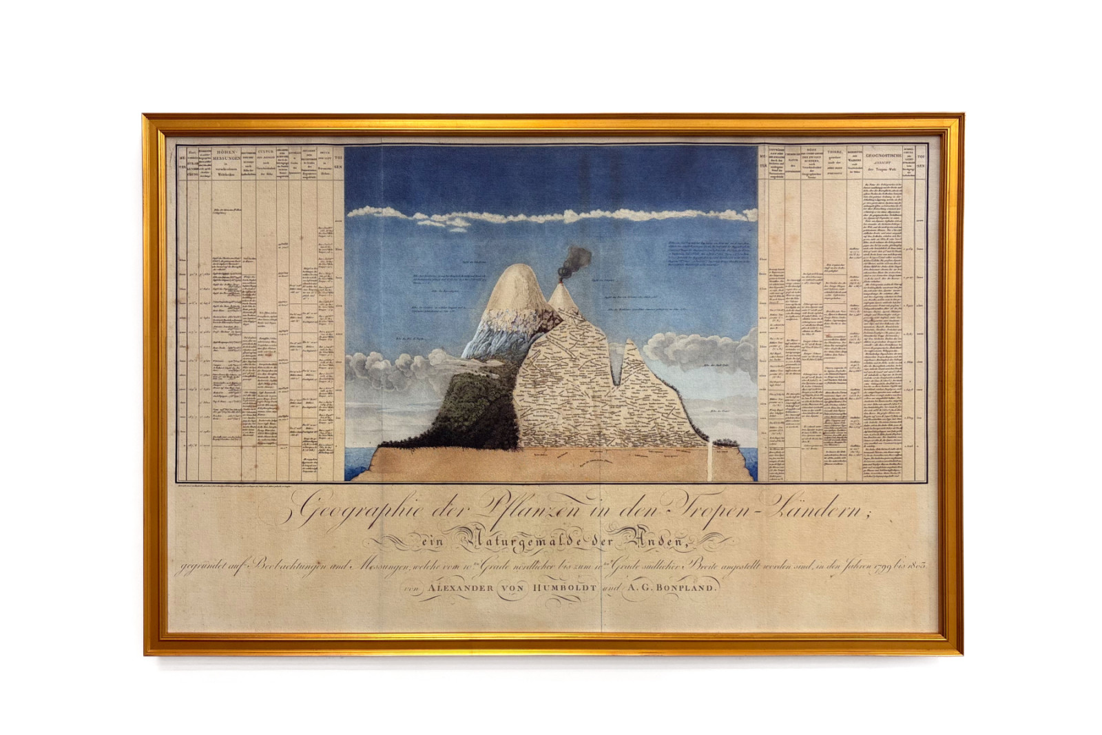 Trooppisten maiden kasvimaantiede, Andien tutkimus, piirtäneet Schoenberger ja Turpin, painanut Langlois, Pariisi - Baron Friedrich Alexander von Humboldt