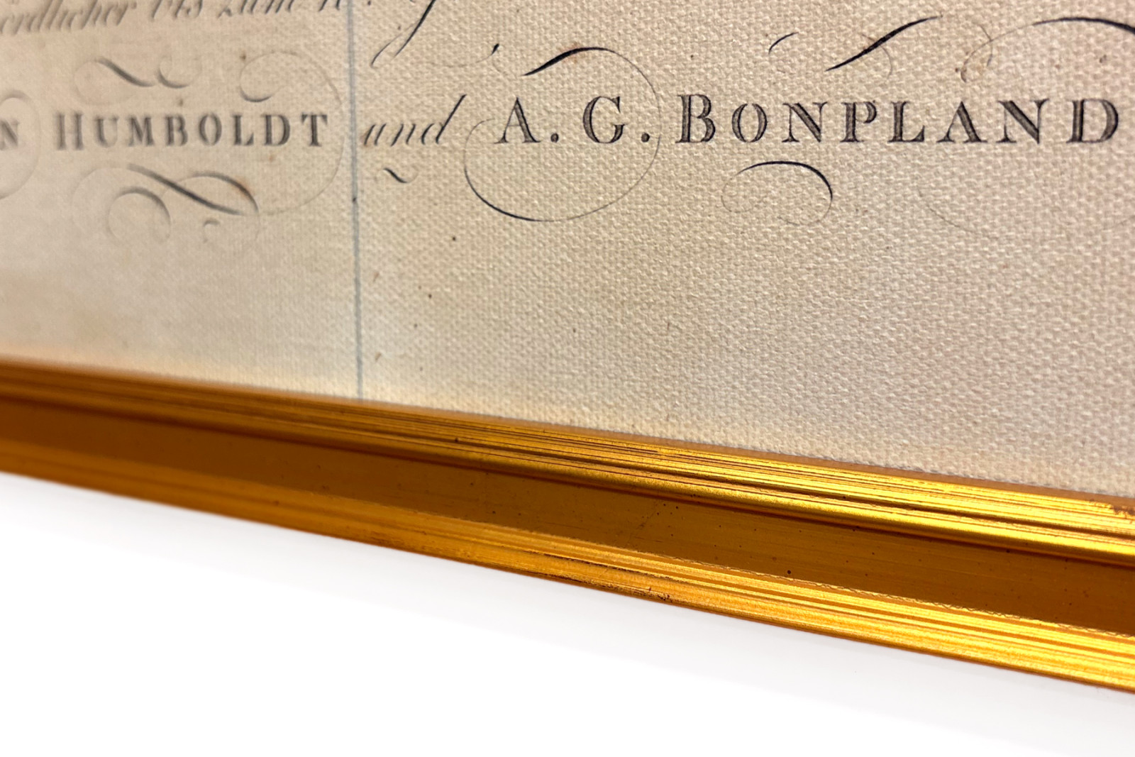 Trooppisten maiden kasvimaantiede, Andien tutkimus, piirtäneet Schoenberger ja Turpin, painanut Langlois, Pariisi - Baron Friedrich Alexander von Humboldt