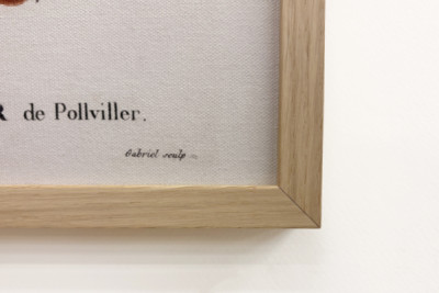 Poirier de Pollviller - teoksessa "" New Duhamel du Monceau tai tutkielma puista ja pensaista, joita viljellään Ranskassa"", hahmot P.J. Redouten ja P. Bessan piirustusten mukaan, Pariisi