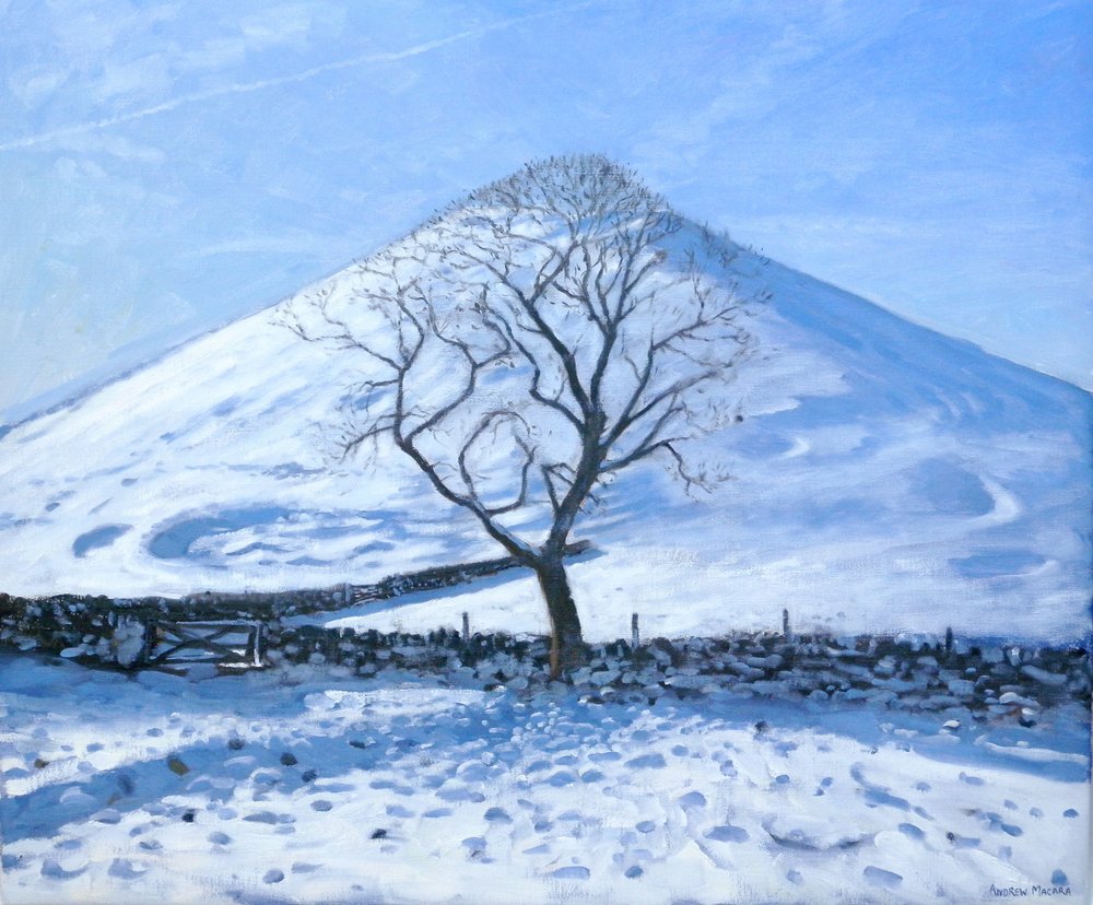 Hill and Tree, Derbyshire, 2008 tekijältä Andrew Macara