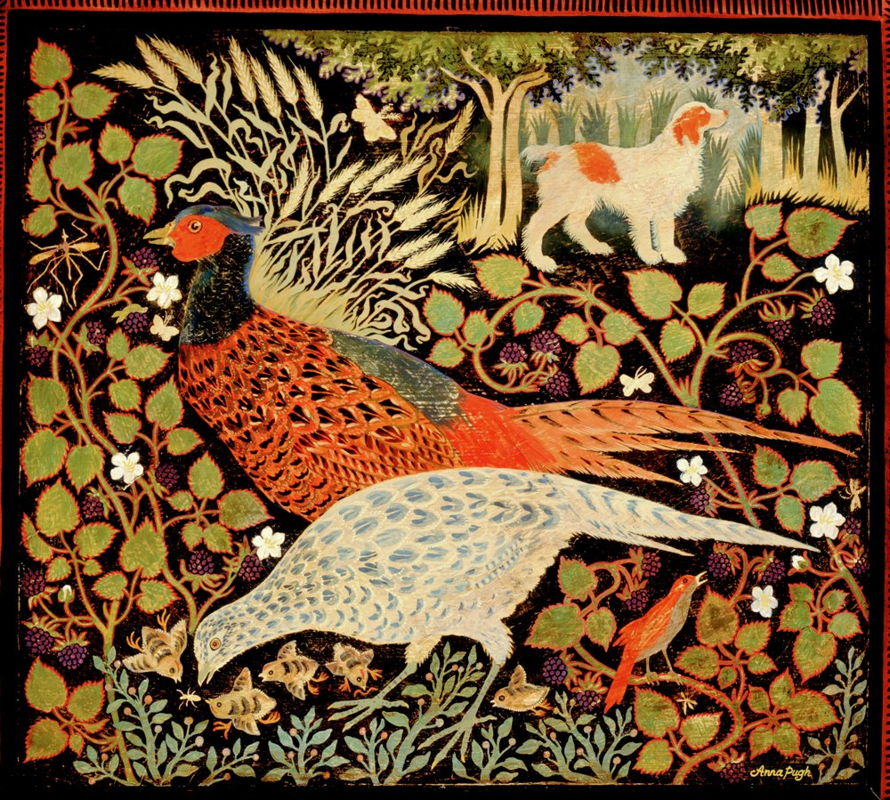 Fasaanit tekijältä Anna Pugh