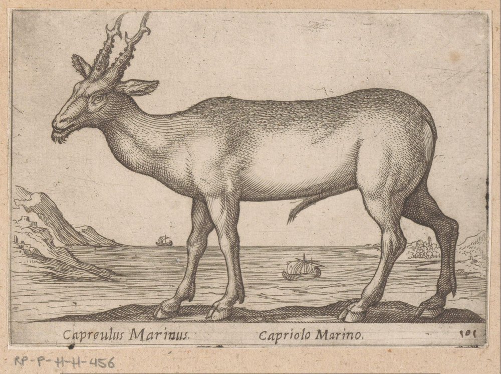 Hert Capreulus Marinus/ Capriolo Marino (otsikko esineessä) Dieren en fablewezens (sarjan nimi) Uusi kokoelma maailman uteliaimpia eläimiä (sarjan nimi) tekijältä Antonio Tempesta
