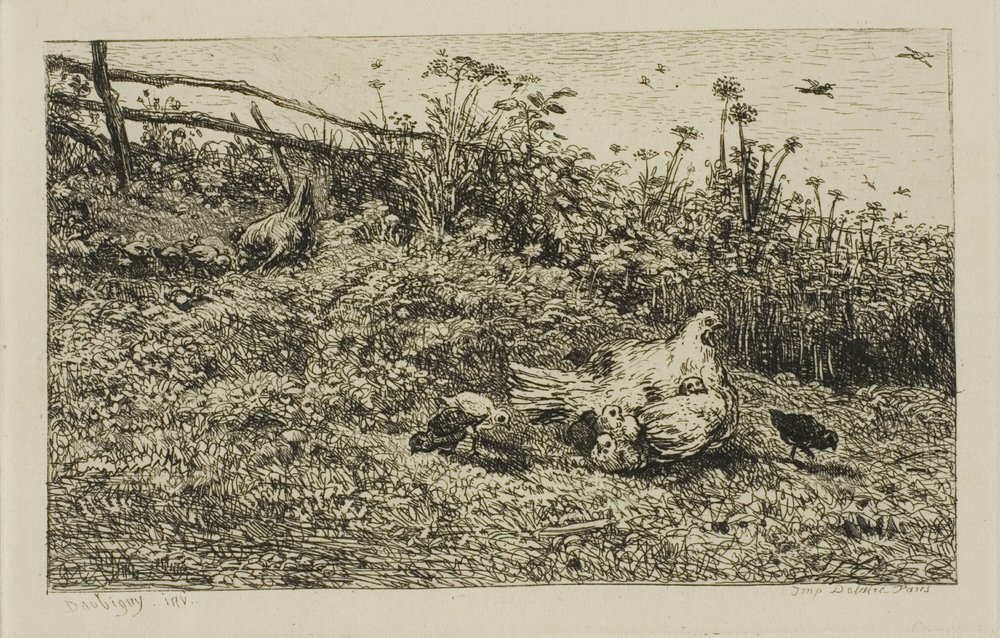 Kana ja hänen poikaset tekijältä Charles Francois Daubigny