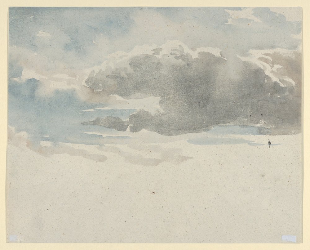 Pilvitutkielma (etupuoli). Tutkielma seljapensaasta aidan vieressä (kääntöpuoli) tekijältä David Cox
