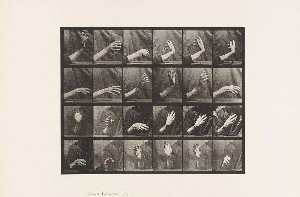 Taulu 535. Käden liike; tahdin lyöminen, 1885 tekijältä Eadweard Muybridge