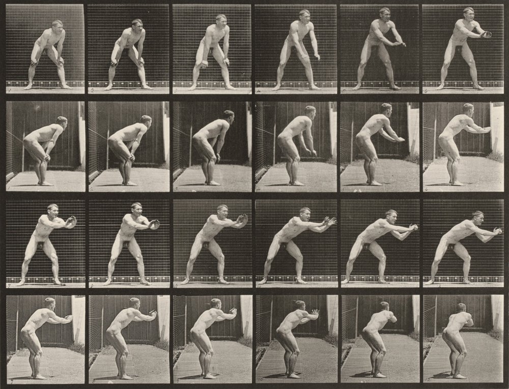 Laatta numero 280. Baseball, kiinniotto tekijältä Eadweard Muybridge