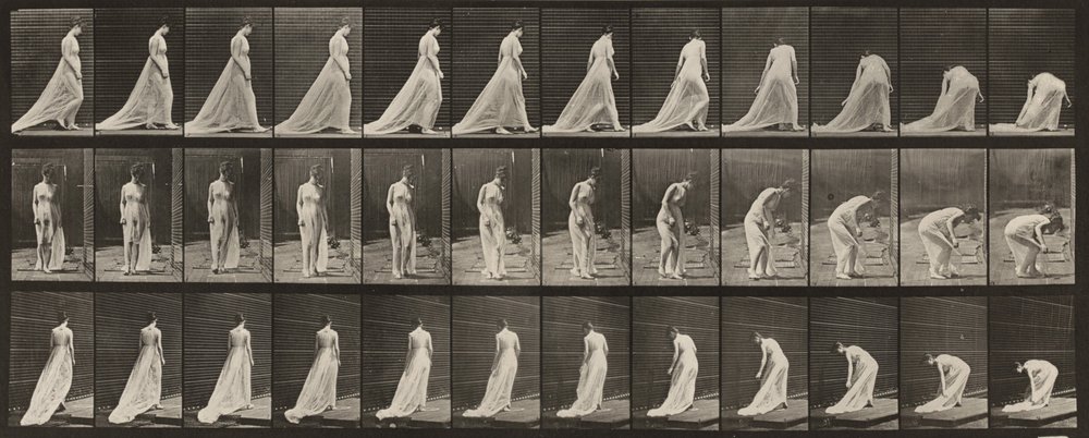 Taulu numero 56. Kävely, kääntyminen ja kumartuminen laahuksen nostamiseksi tekijältä Eadweard Muybridge