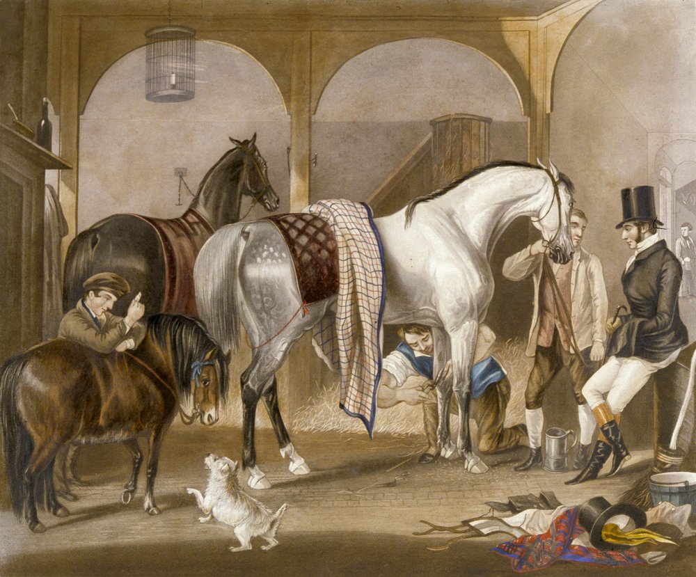Clipper, kaiverrus J. R. Mackrell (väri litho) tekijältä F. C. (after) Turner
