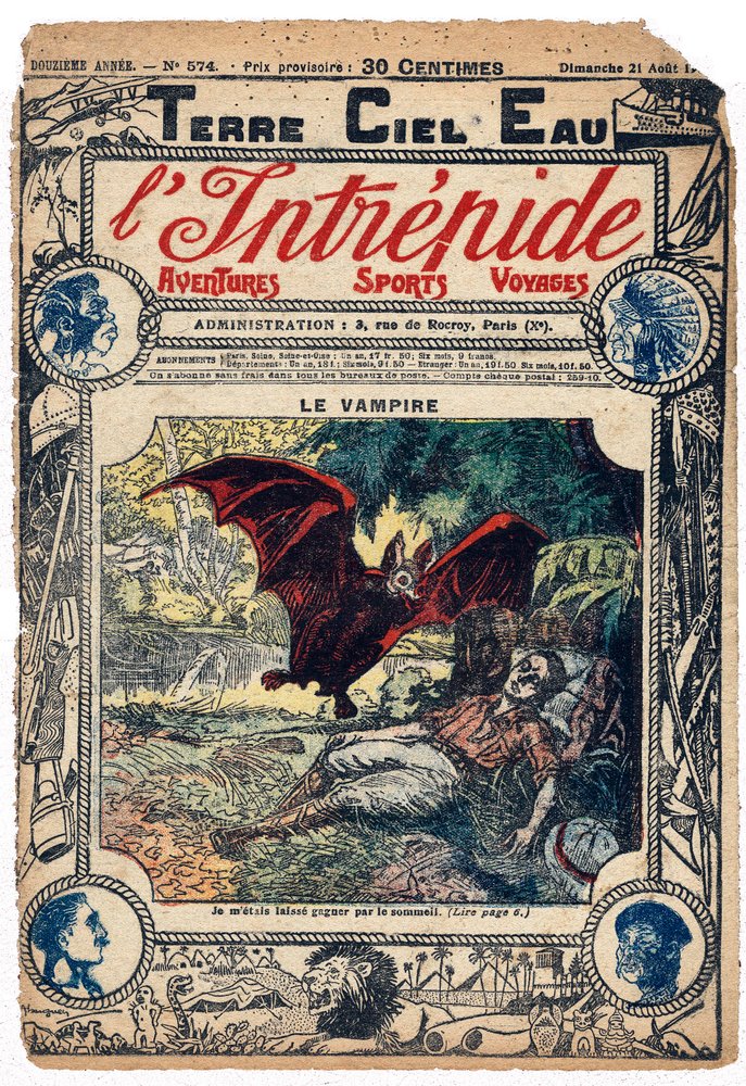 Andre Rochetia puri vampyyrilepakko Perussa tekijältä French School