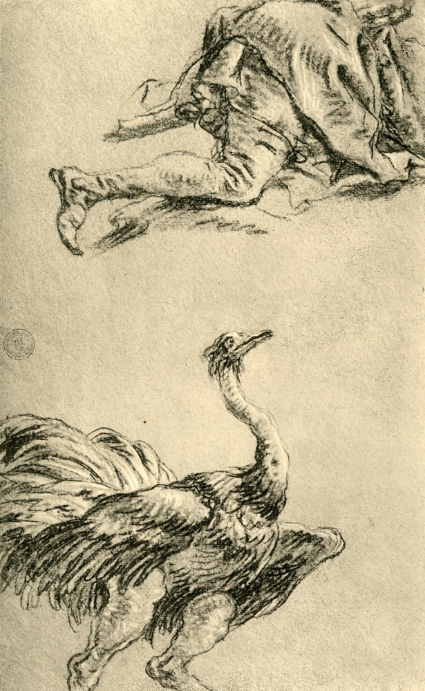 Juokseva strutsi, 1752-1753, 1928 tekijältä Giovanni-Battista Tiepolo