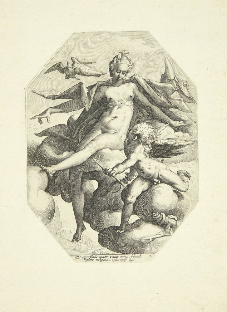 Venus ja Cupid tekijältä Jacob Matham