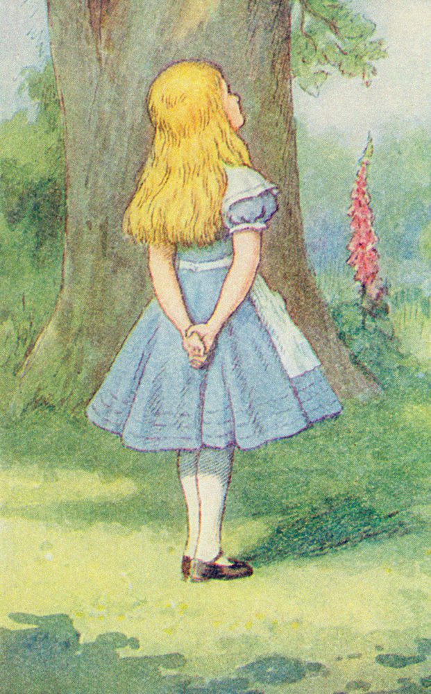 Liisa ja kissa, kuvitus Lewis Carrollin (1832-9) teoksesta "Liisa ihmemaassa" (yksityiskohta kuvasta 264483). tekijältä John Tenniel