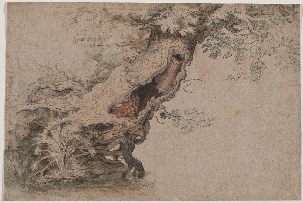 Hollow Tree, Roelant Saveryn mukaan, vuoden 1670 jälkeen. tekijältä Lambert Doomer