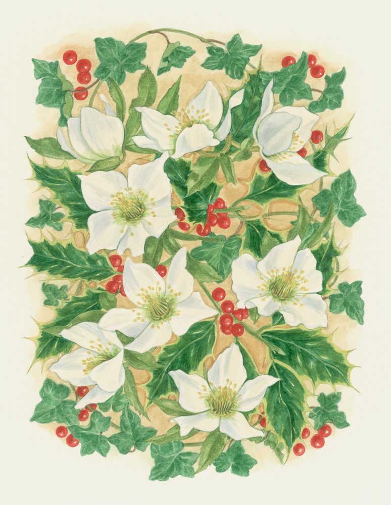 Jouluruusut, 1997 (wc paperilla) tekijältä Linda Benton