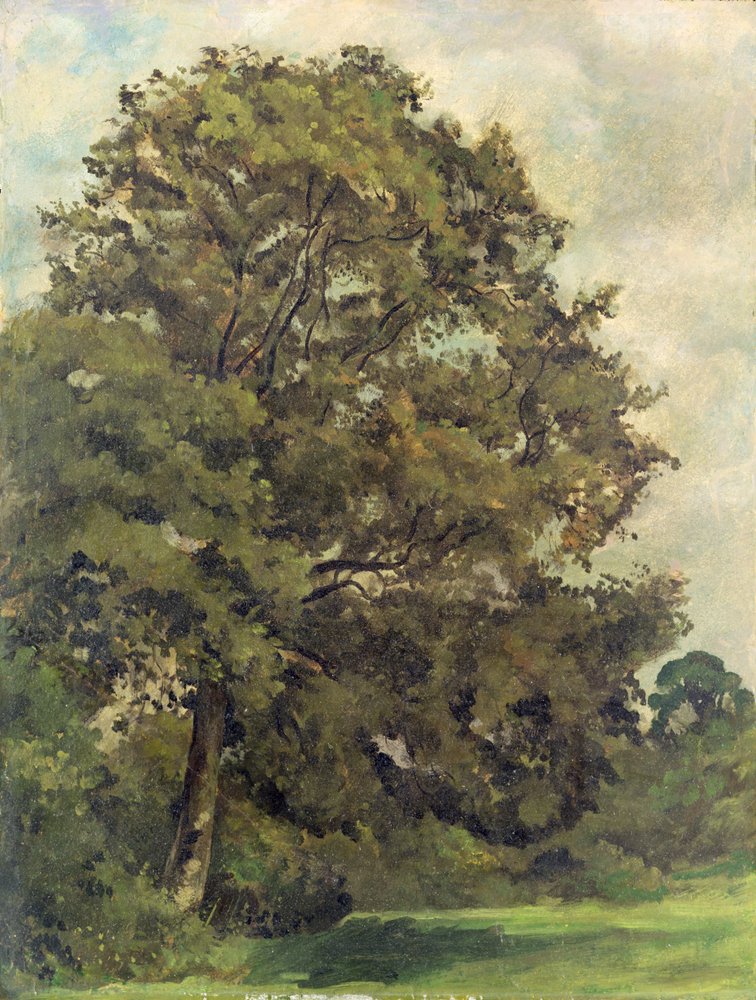 Tutkielma saarnesta, noin 1851 tekijältä Lionel Constable