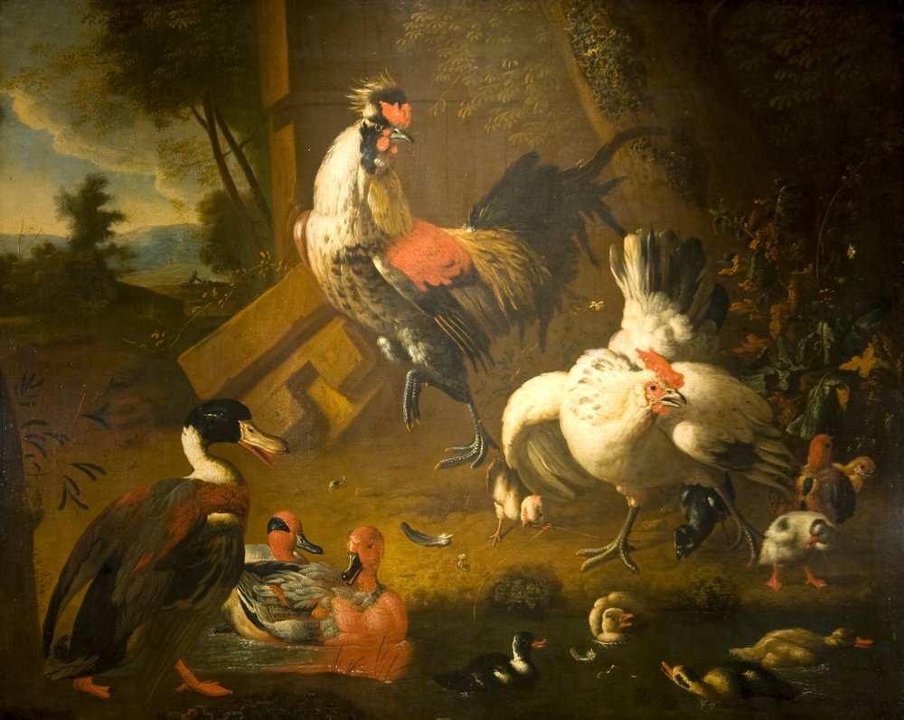 Kukko, kana ja kolme ankkaa tekijältä Melchior de (studio of) Hondecoeter