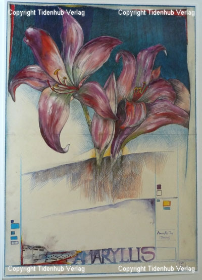 Amaryllis tekijältä Ole West