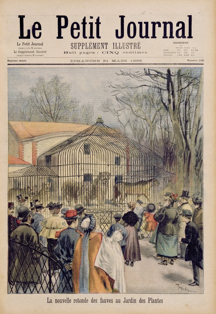 Uusi villikissatalo Jardin des Plantesissa, Le Petit Journalista, 31. maaliskuuta 1895 tekijältä Oswaldo Tofani