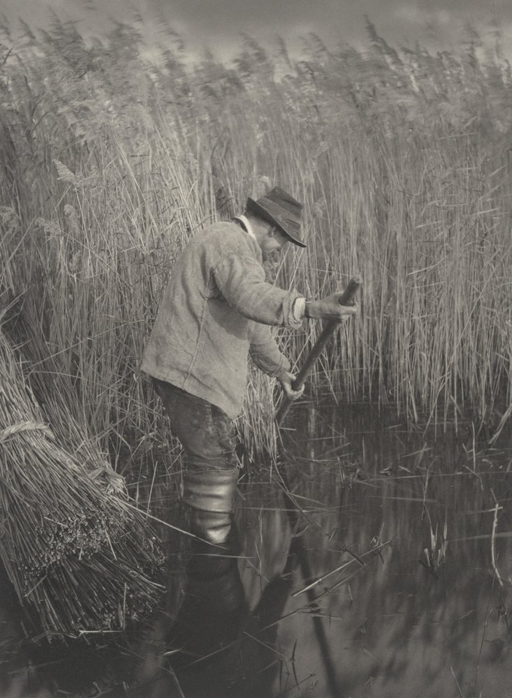 A Reed-Cutter at Work, 1886. Tekijät: Tri Peter Henry Emerson, Thomas Frederick Goodall. tekijältä Peter Henry Emerson, Thomas Frederick Goodall