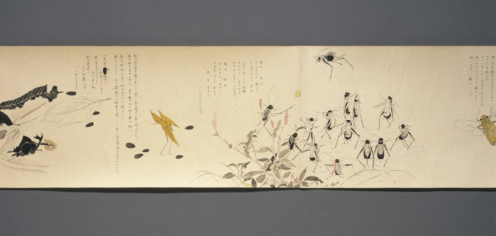 Wildlife Friends (Yasei no Tomo), Taisho-kausi, Taisho 7th Year, n. 1918 (muste & wc kiillellä koristellulle kudospaperille) tekijältä Ryoka Kawakami