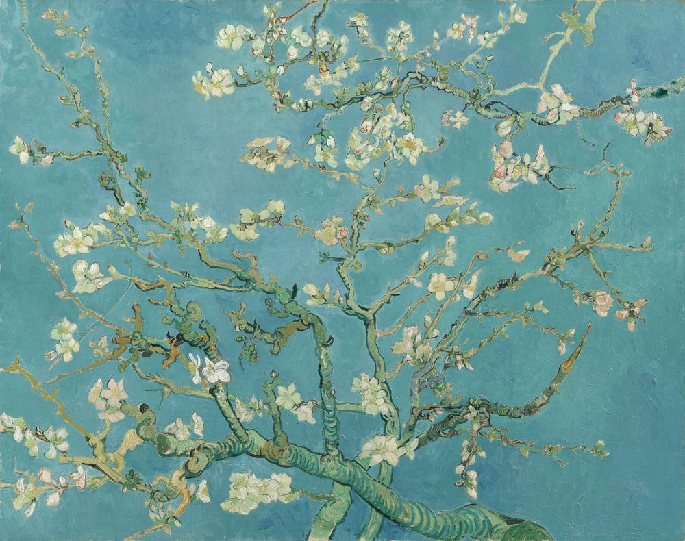 Kukkiva mantelipuu tekijältä Vincent van Gogh