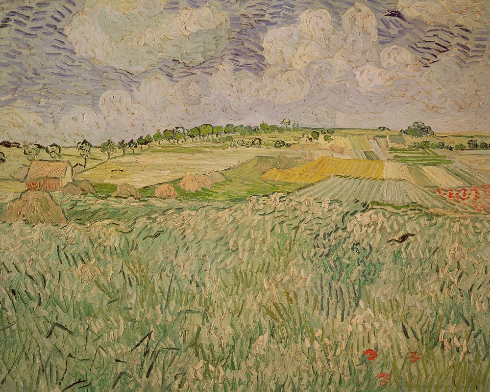 Tasanko Auversissa, 1890 tekijältä Vincent van Gogh