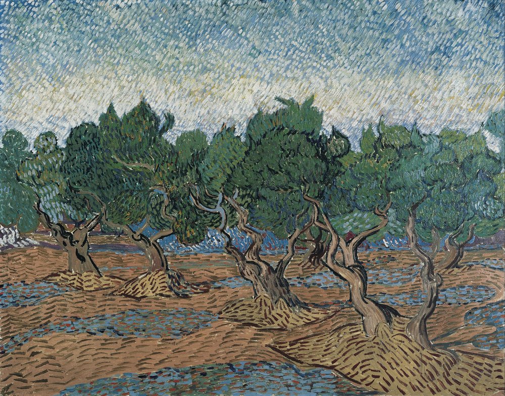 Oliivilehto tekijältä Vincent van Gogh