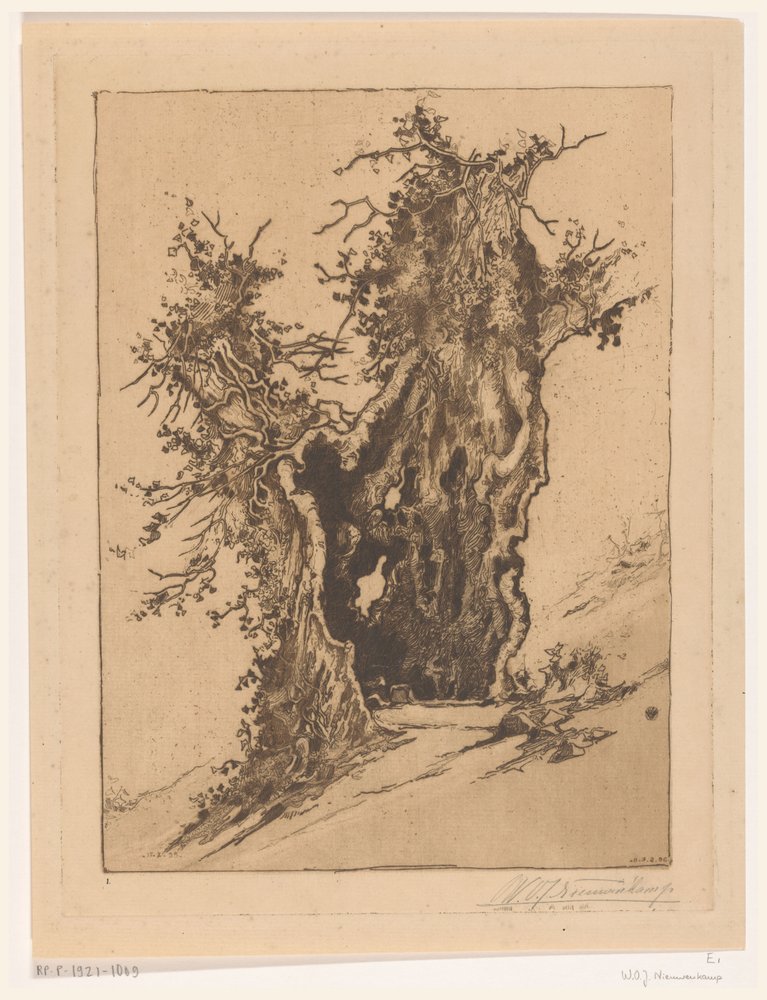 Ontto puu Seelisbergissä Sveitsissä Hollow Tree (alkuperäinen nimi) tekijältä Wijnand Otto Jan Nieuwenkamp (signed by artist)