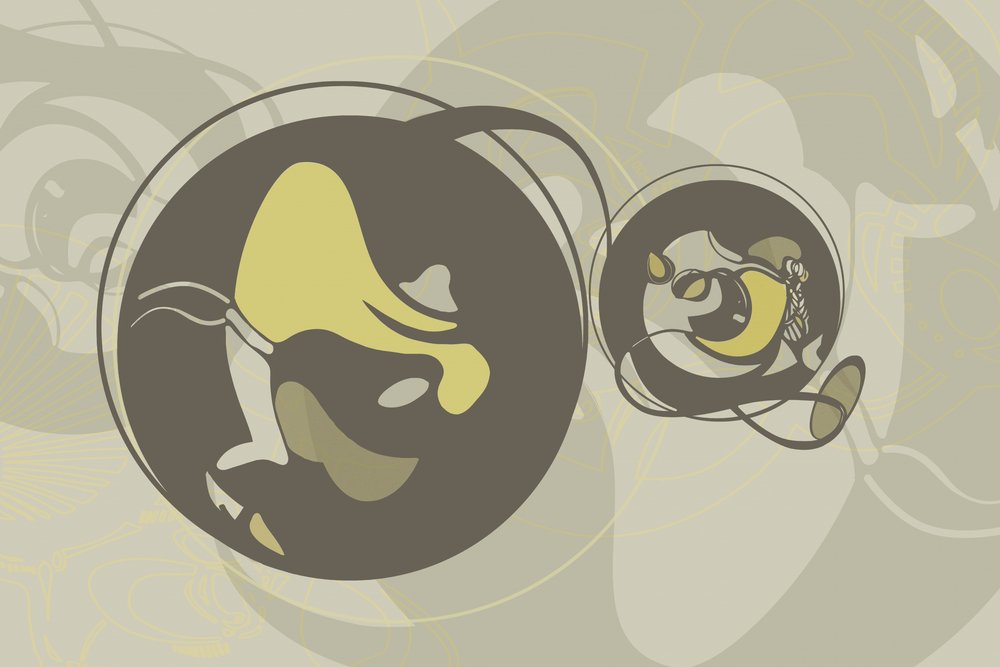 Dynaamiset orgaaniset muodot tekijältä Alejandra Winkhaus