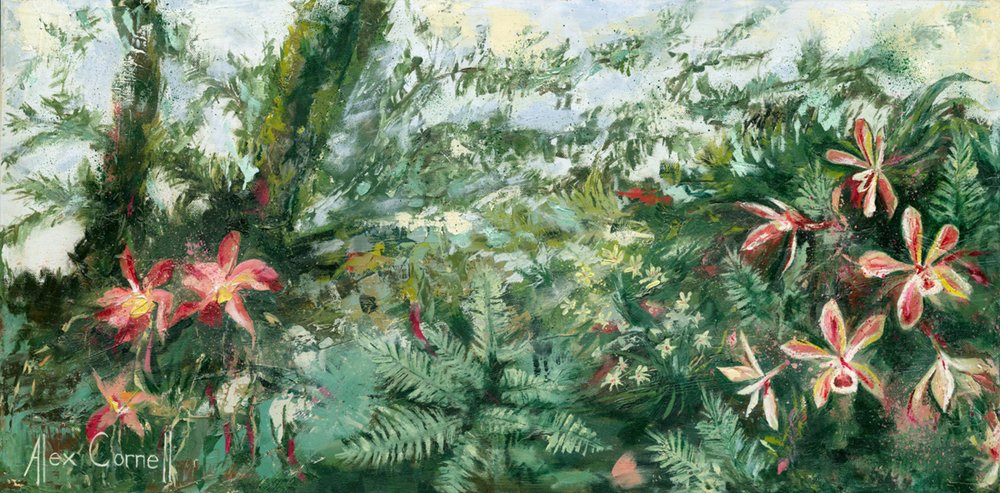 Värikkäät trooppiset orkideat tekijältä Alex Cornell