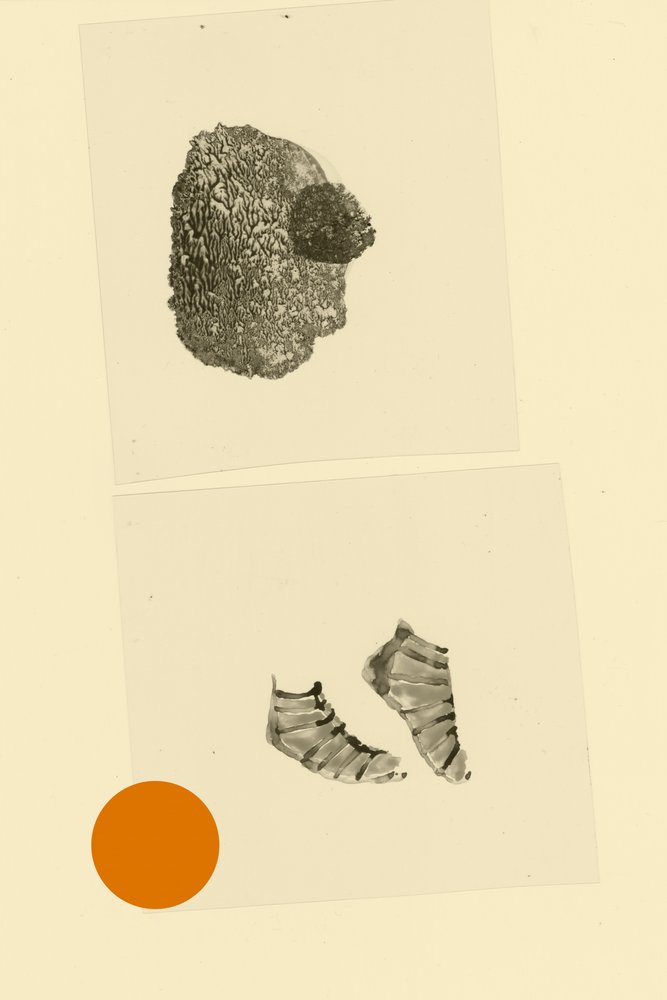 Pääjalka tekijältä Alexander Adiels