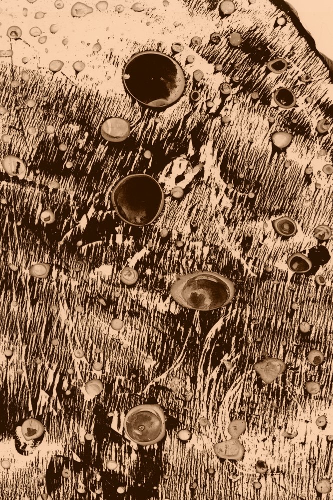 Happi tekijältä Alexander Adiels