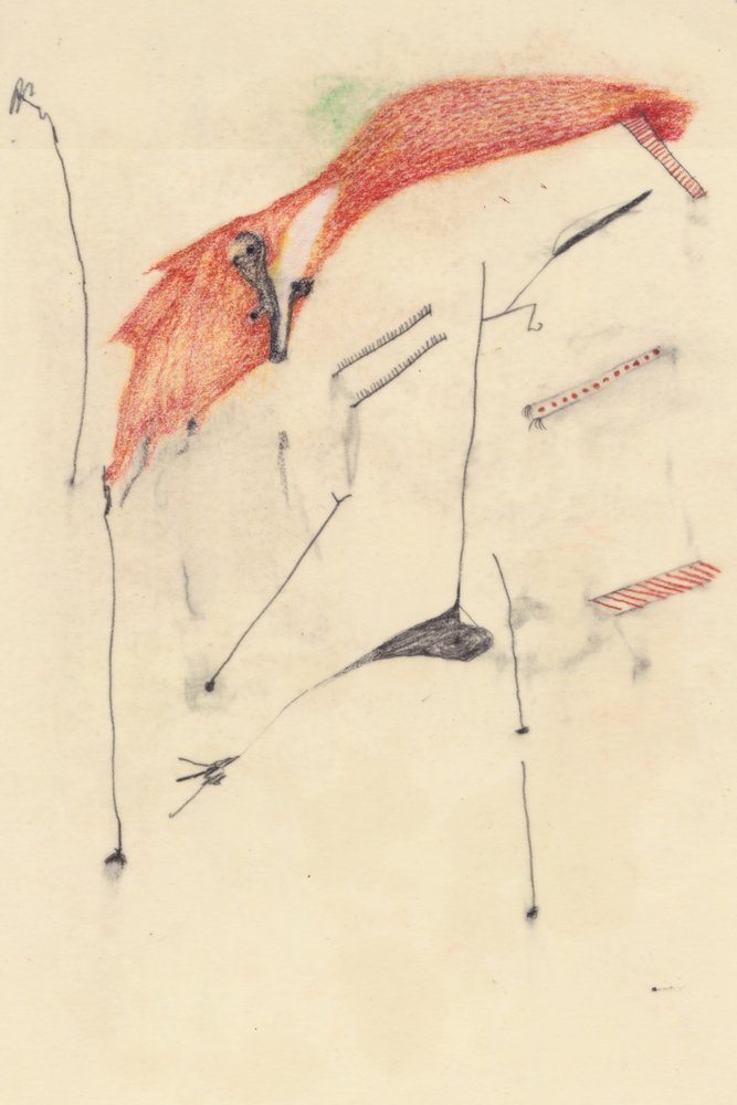 Ovela kuin kettu tekijältä Alexander Adiels