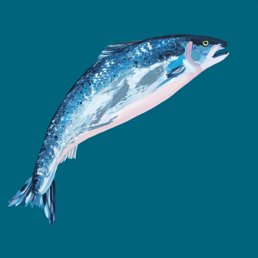  tekijältä Alice Straker