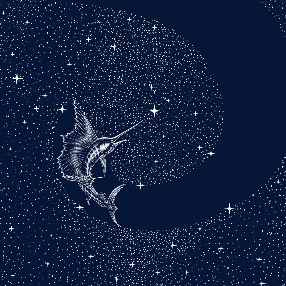 Taivaallinen purjekala tekijältä Alirıza ÇAKIR