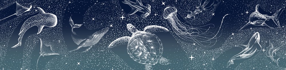 Taivaalliset merieläimet tekijältä Alirıza ÇAKIR