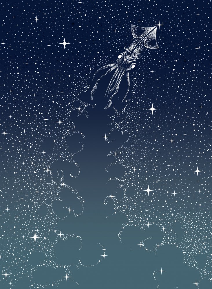 Taivaallisen kalmarin nousu tekijältä Alirıza ÇAKIR