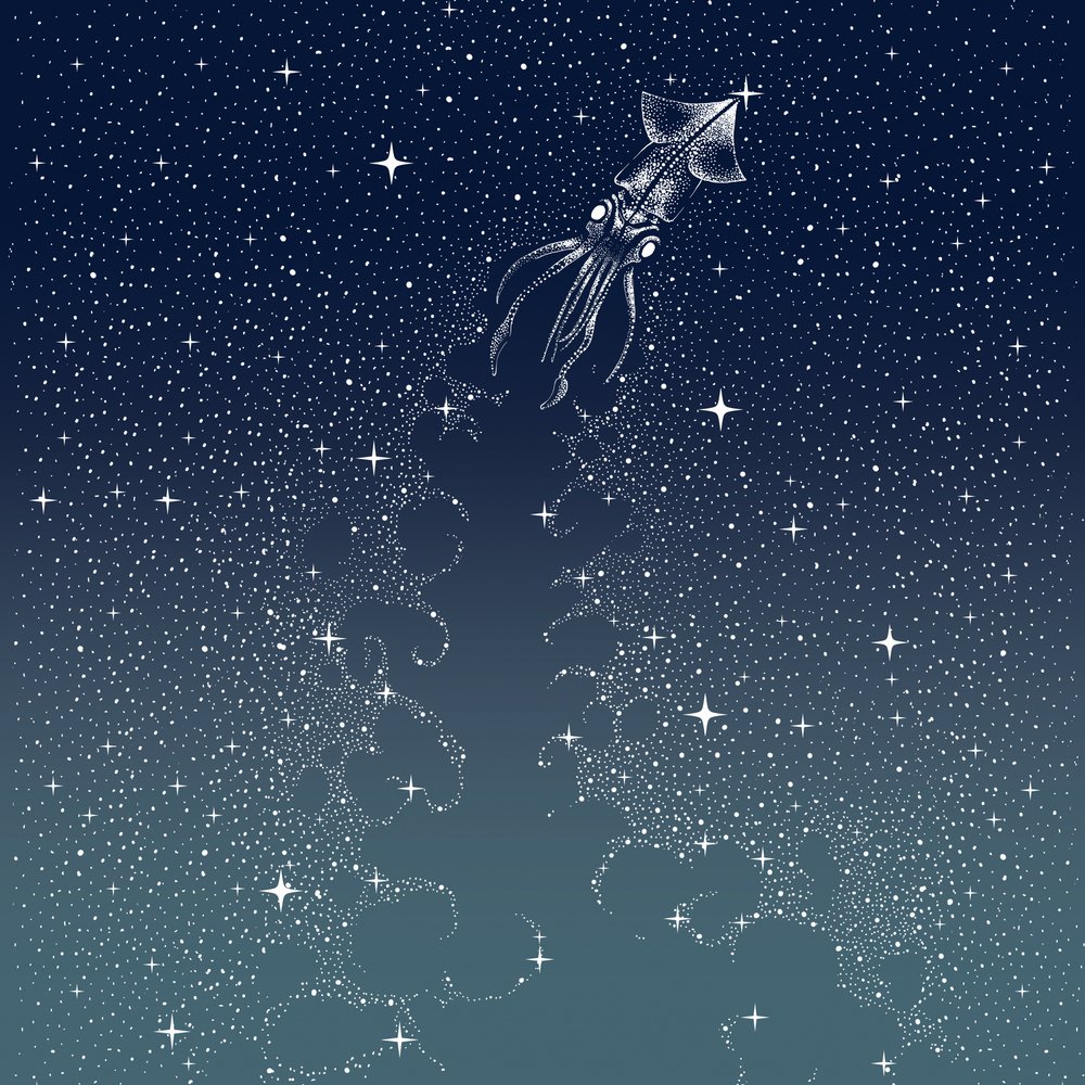 Taivaallinen kalmarin lento tekijältä Alirıza ÇAKIR