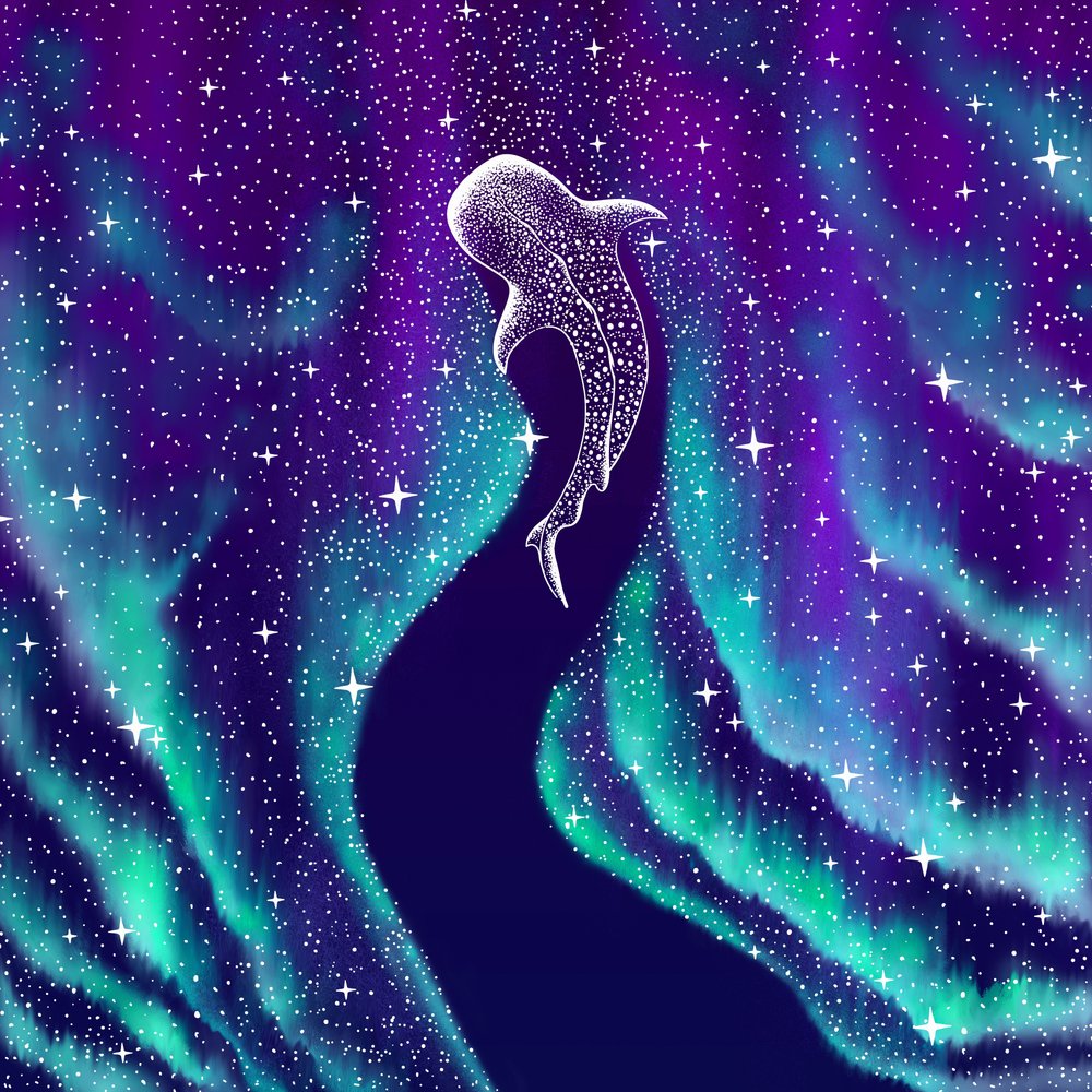 Taivaallinen valashai tekijältä Alirıza ÇAKIR