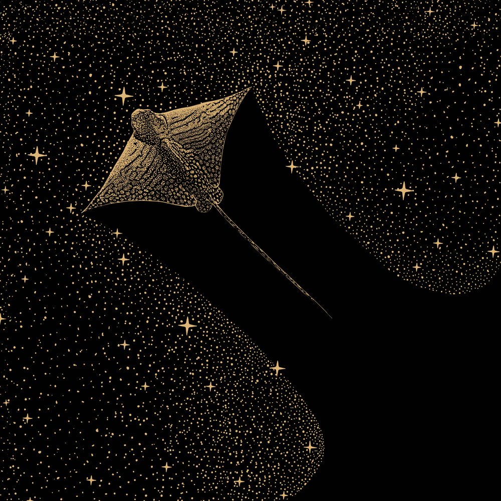 Kosminen kotka-rausku tekijältä Alirıza ÇAKIR