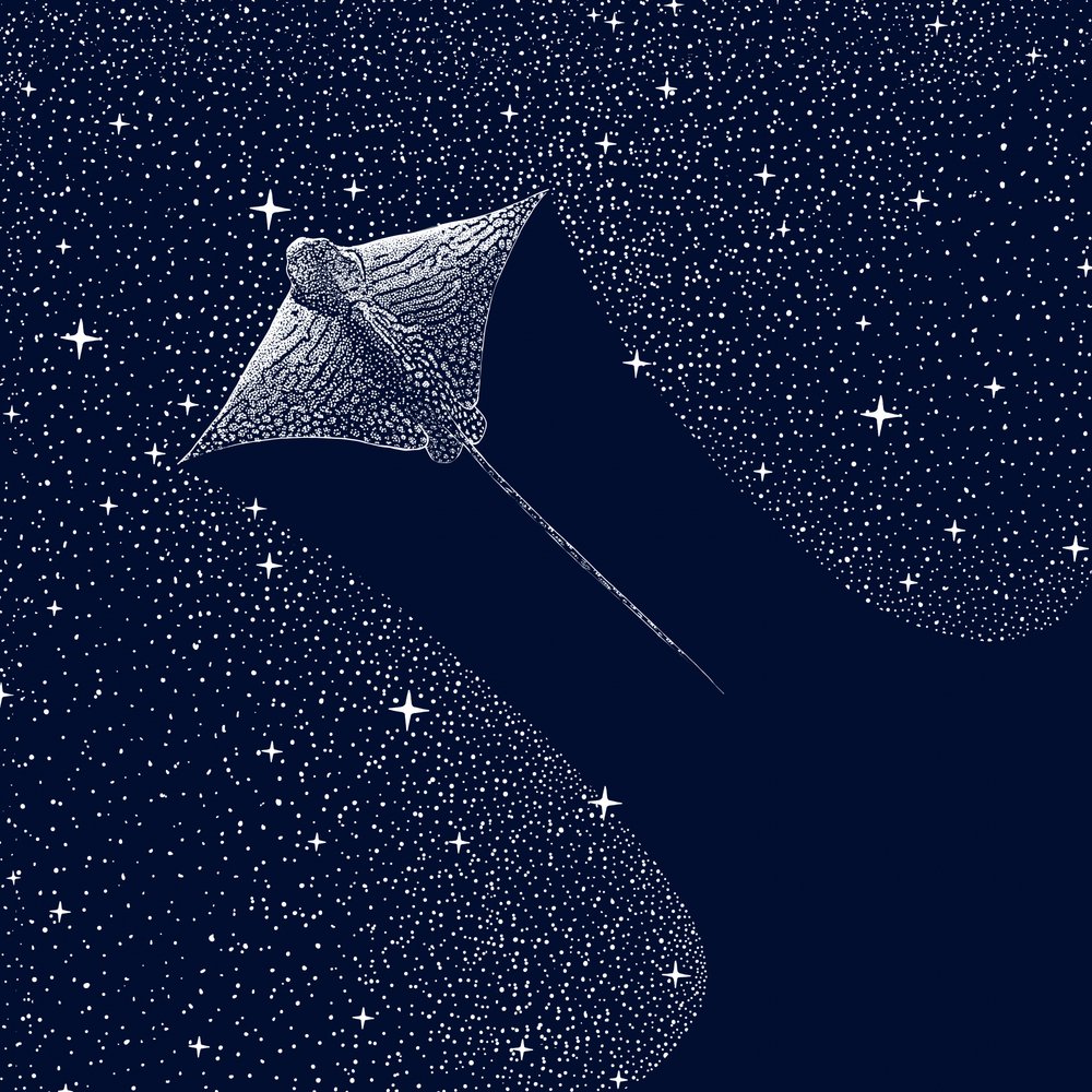 Kosminen kotka-rausku tekijältä Alirıza ÇAKIR