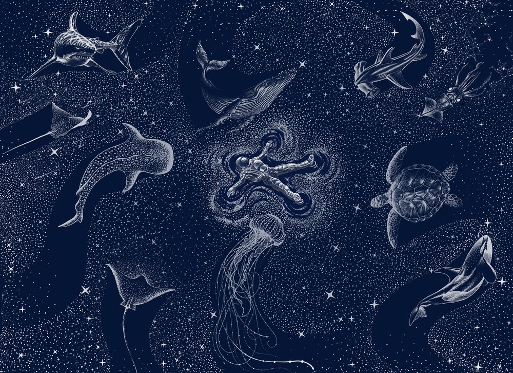 Kosminen meren unelma tekijältä Alirıza ÇAKIR