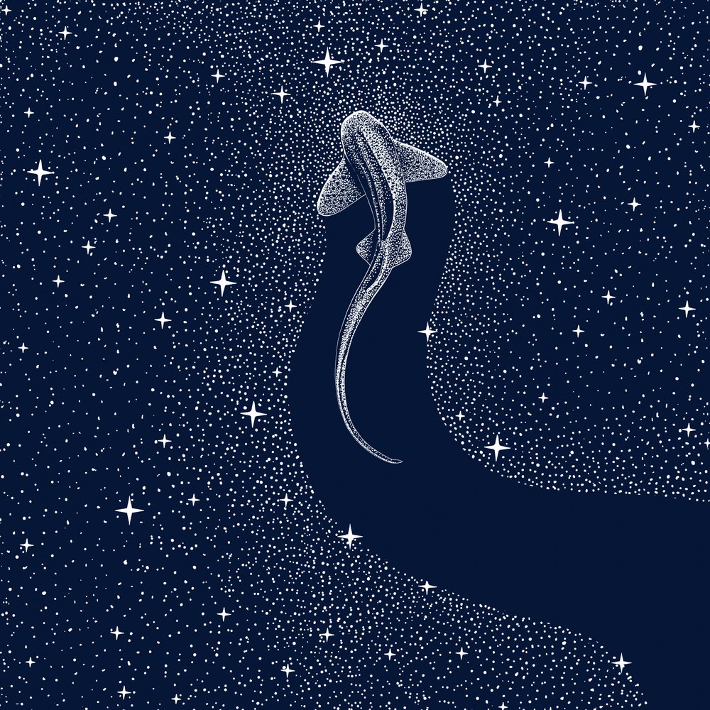 Kosminen hai tekijältä Alirıza ÇAKIR