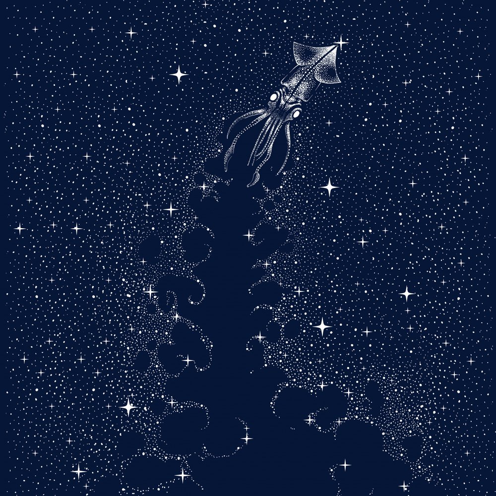 Kosmisen kalmarin nousu tekijältä Alirıza ÇAKIR