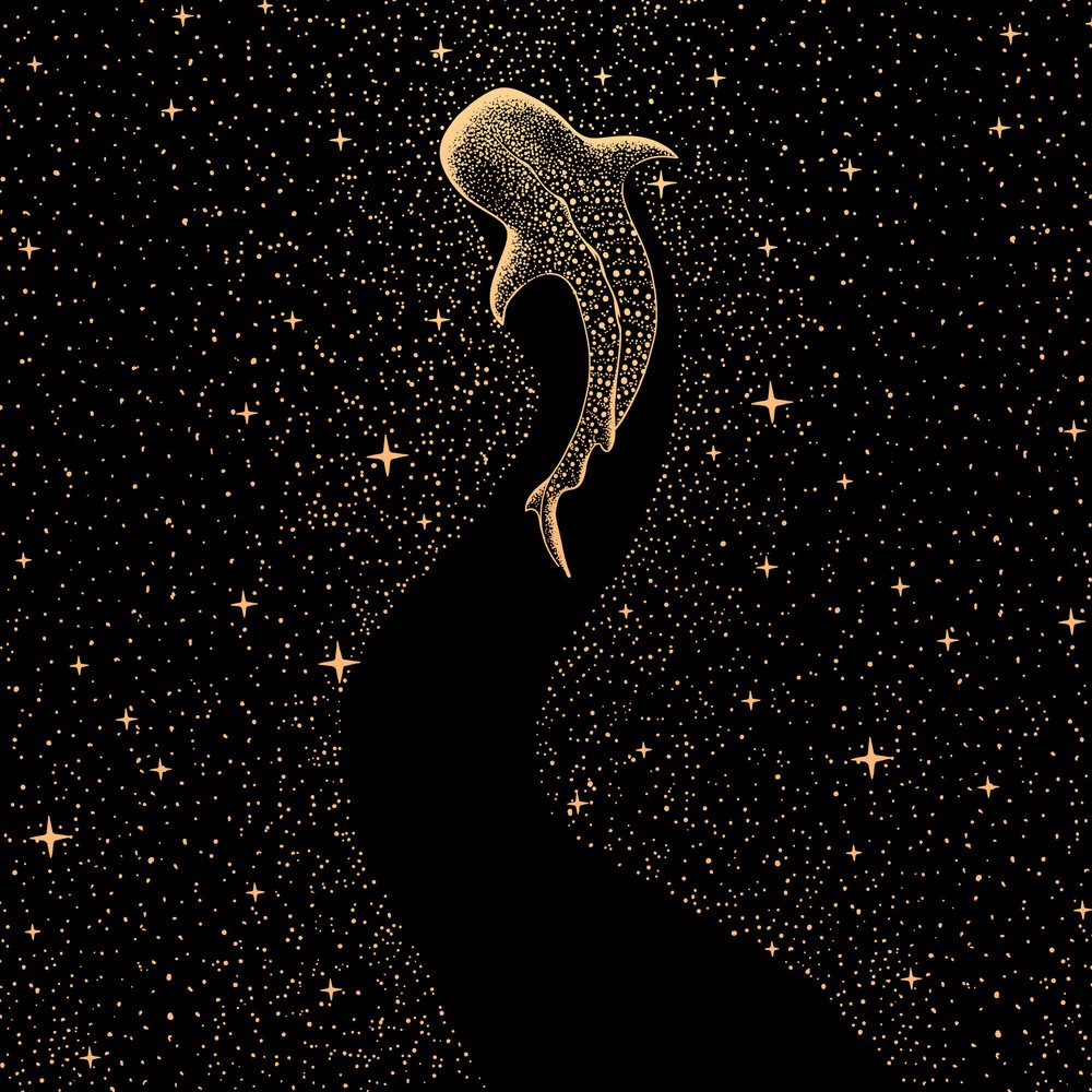 Kosminen valashai tekijältä Alirıza ÇAKIR