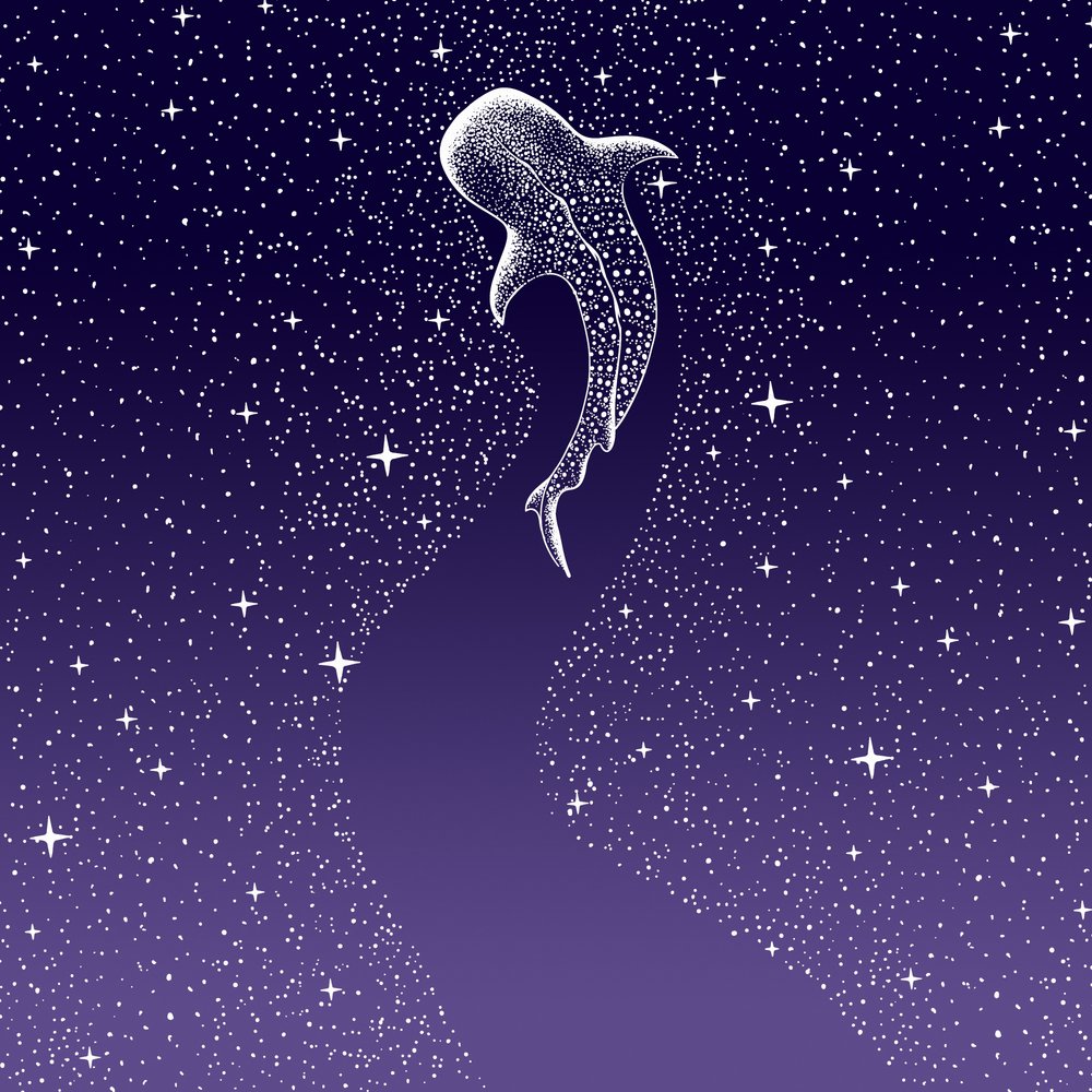 Star Eater: tummansininen–violetti väriliukuma tekijältä Alirıza ÇAKIR